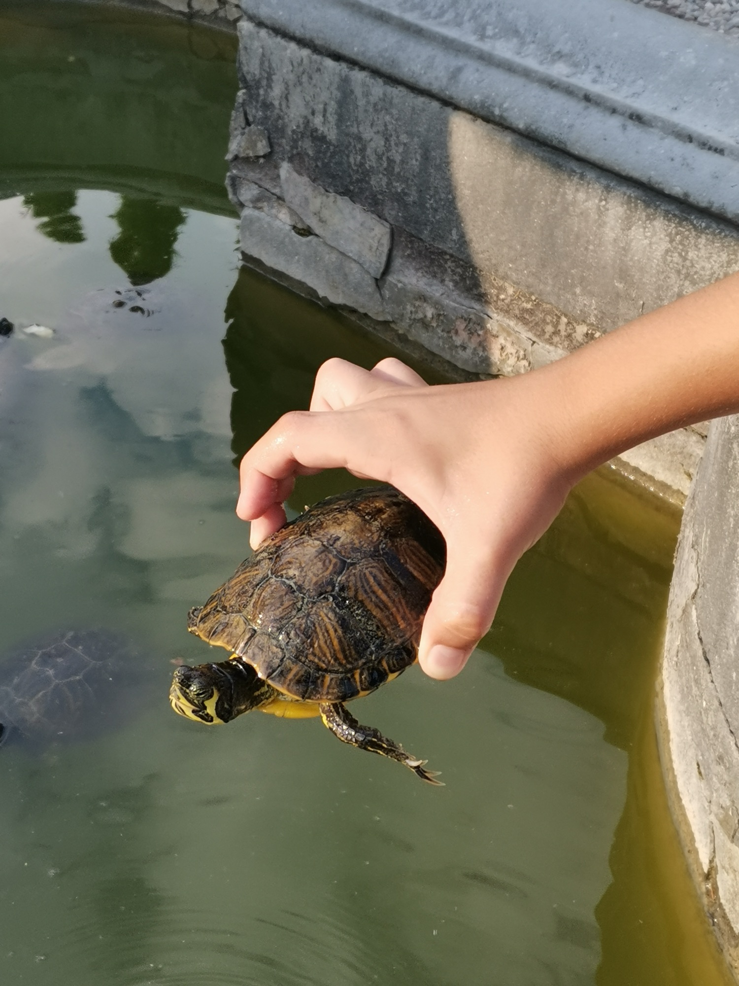 Verona: Romantika, história a miesta, ktoré musíš vidieť 13 img 20220831 174412 1