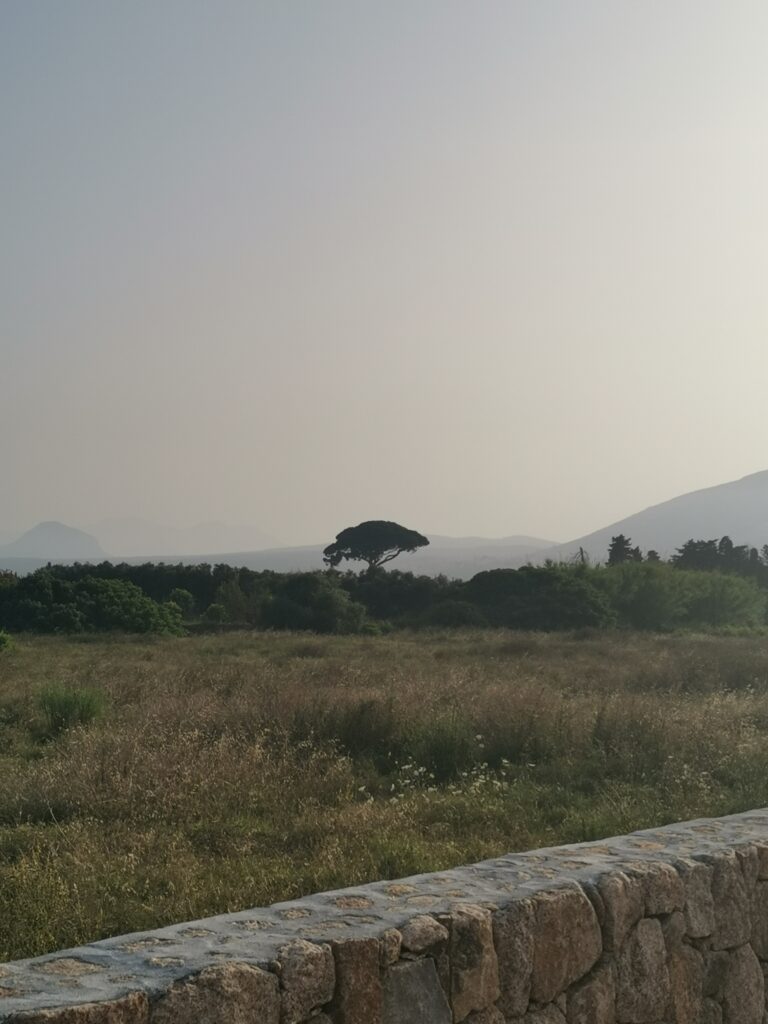 IMG 20230712 191455