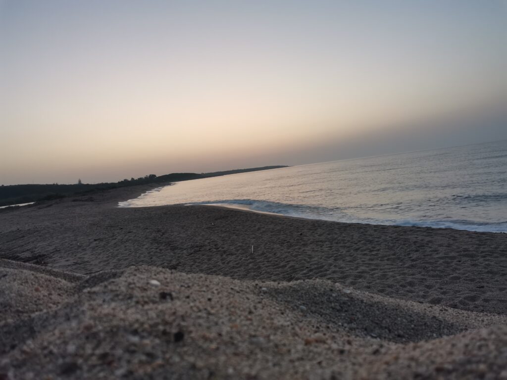 IMG 20230716 054005