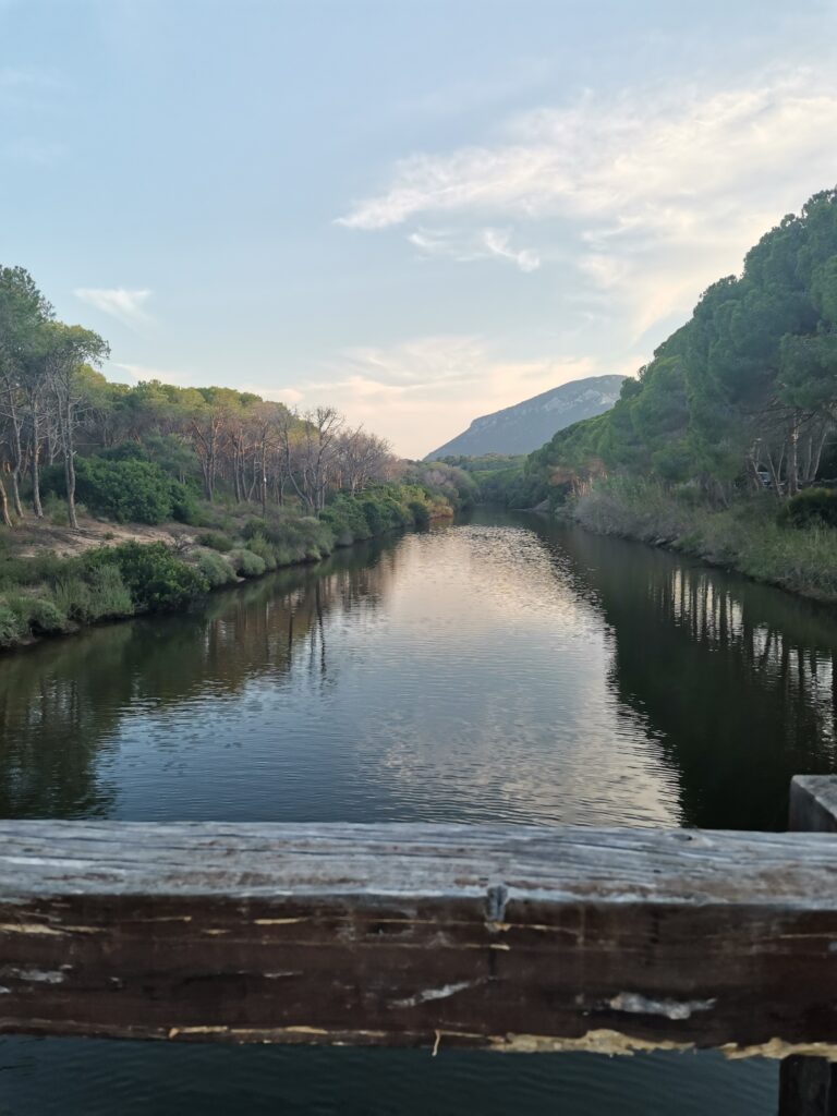 Stagno di Avalè - Su Pedrosu