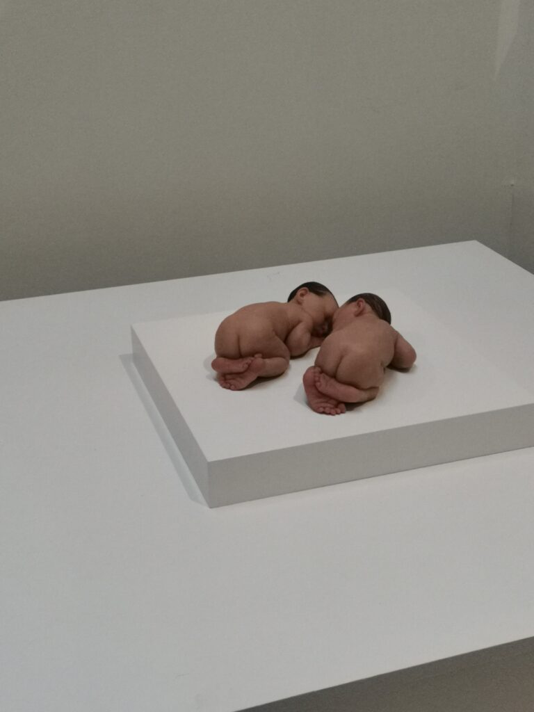 IMG 20230604 143301