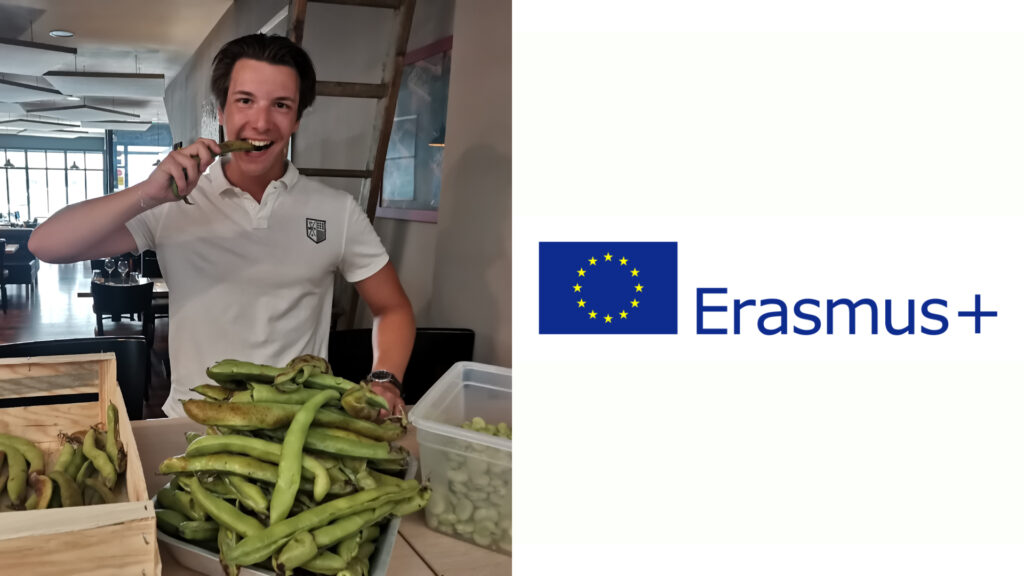 Erasmus+