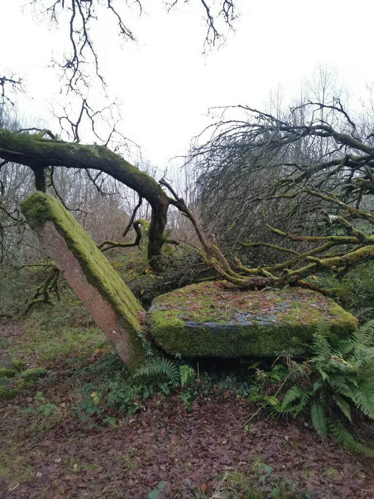 Írsko? 🇮🇪 Ako som sa tam dostal? 9 IMG 20241218 160322