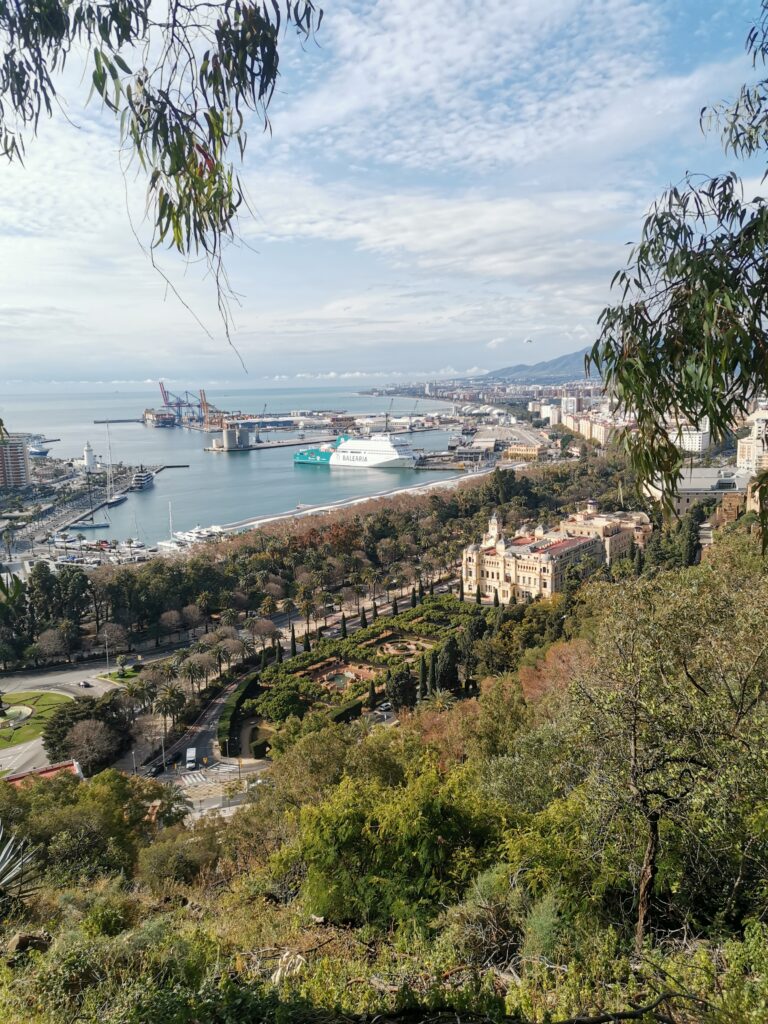 Jardines de Pedro Luis Alonso