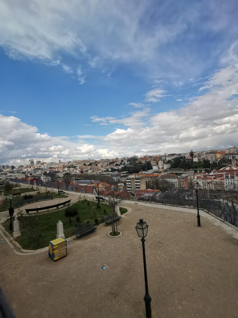 Miradouro de São Pedro de Alcântara